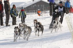 Lenk 2012 SM
